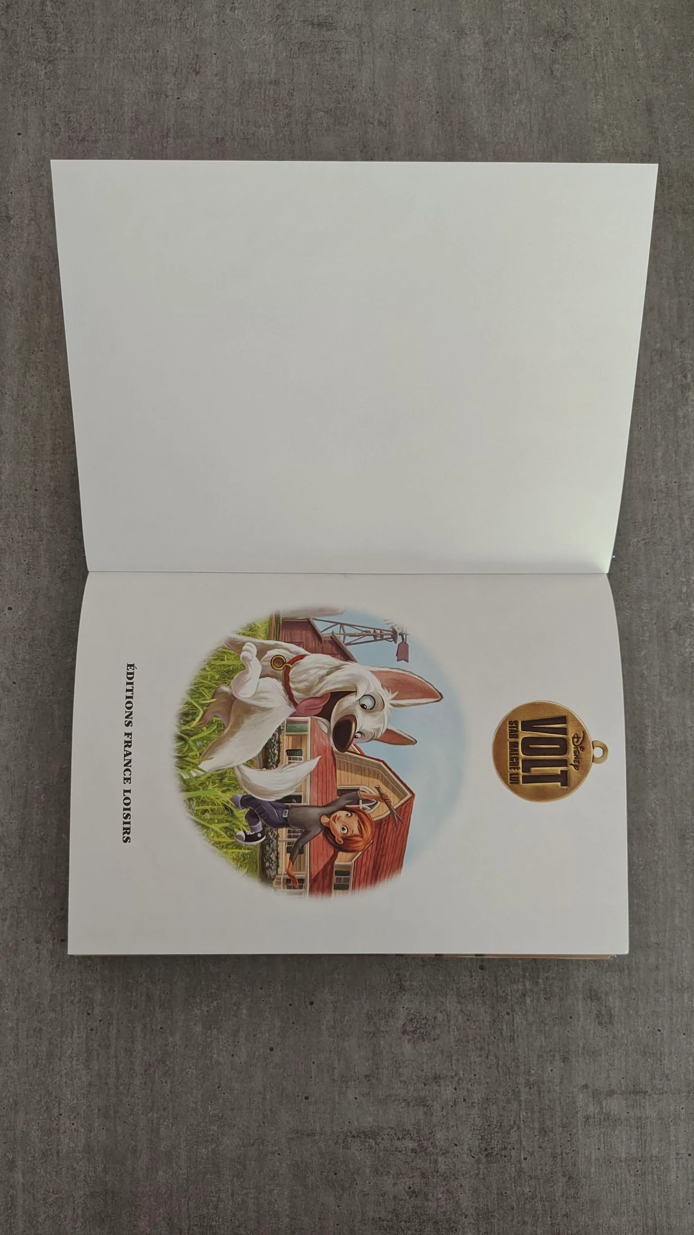 Libro infantil «Volt», estrella a pesar de sí mismo - Disney – photo 4